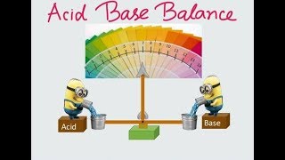 Basics of Acid Base Balance [upl. by Wootten]