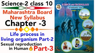 part3 ch3 life process in living organism part2 class 10 science sexual reproduction in Human [upl. by Schlessel]