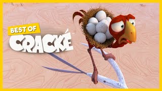 CRACKÉ  SUDDEN BREAK  Cartoon Animation  Compilation [upl. by Enenaej]