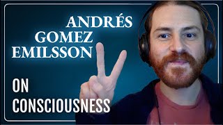 On Consciousness feat Andrés Gomez Emilsson  Traces Appendix 19 [upl. by Nerag]