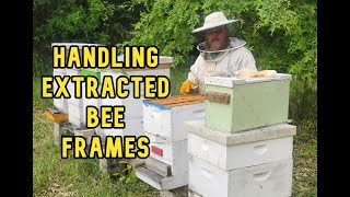 How to Handle Extracted Bee Hive Frames [upl. by Nujra]