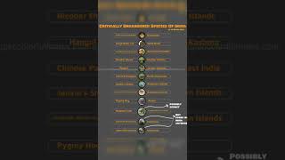 IUCN Red List2023Critically Endangered Species of 🇮🇳 [upl. by Valery]
