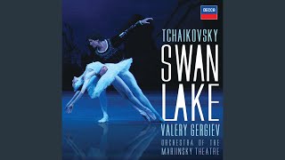 Tchaikovsky Swan Lake Op 20  Mariinsky Version  Act 2  Pas de deux Variation 3 Allegro [upl. by Corkhill]