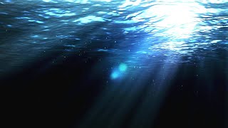 Copyright Free Underwater Background Loop  Motion Graphics Animated Background [upl. by Catherin]