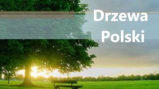 Drzewa Polski [upl. by Waiter]