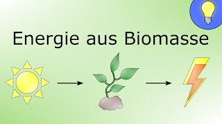 Energie aus Biomasse [upl. by Flodur195]