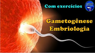 Gametogênese e Embriologia  Exercícios [upl. by Rehtnug]