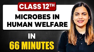 MICROBES IN HUMAN WELFARE in 66 Minutes  Biology Chapter 10  Full Chapter Revision Class 12th [upl. by Herr]