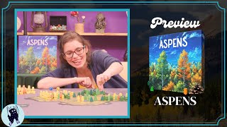 Aspens New Board Game Preview [upl. by Yesnnyl632]