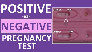 Pregnancy Test Positive vs Negative Results Time Lapse [upl. by Ekyt]