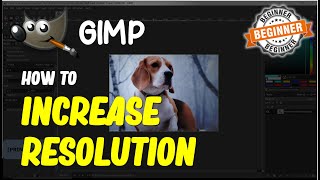 Gimp How To Increase Resolution [upl. by Anedal900]