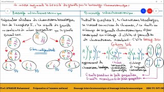 3Le brassage intrachromosomique et le brassage interchromosomique [upl. by Nelrsa]