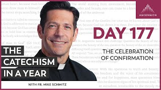 Day 177 The Celebration of Confirmation — The Catechism in a Year with Fr Mike Schmitz [upl. by Naitsabes]