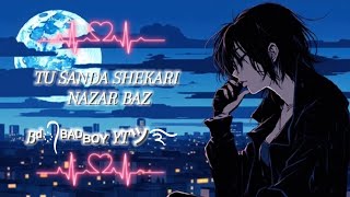 Tu sanda shekari nazar baz best of best songnew song 2024\\ [upl. by Orsola]