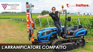 Cingoli tra i filari con Giulia e il Landini Trekker 3085 Compact  Enovitis 2023 [upl. by Lehet]