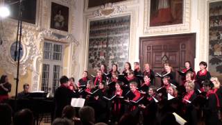 Ensemble LaGioia quotEn Stjerne klarquot K Nystedt Kloster Zangberg 2012 [upl. by Wight]