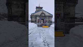 Kedarnath shortsfeed status viralvideo kedarnath harharmahadev mahadev mahakal [upl. by Lindsley]