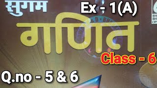 Bharti Bhavan Sugam Ganit Class 6 Bihar Board Ex  1A Qno  5 amp 6 संख्याओं की जानकारी [upl. by Nimesay355]