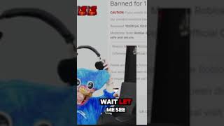 Kreekcraft gets banned for 1 day on Roblox [upl. by Russ207]