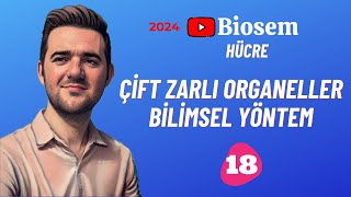 Çift Zarlılar Bilimsel Yöntem Soru Çözümü  yks2024 Biyoloji Soru Çözümü  9sınıf Soru Çözümü [upl. by Sucramaj]