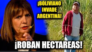 💥BOLIVIANO ROBA 2500 HECTÁREAS Y LOS ANEXA A BOLIVIA 💥BULLRICH LOS SACA CAGANDO [upl. by Kcirdet]