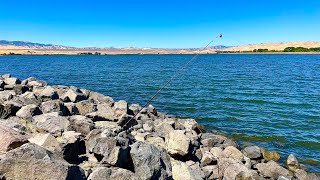 Fishing O’Neill Forebay Reservoir Ca [upl. by Norraf]