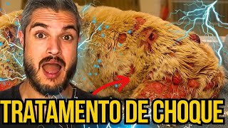 SEM SABER DISSO NENHUMA PESSOA CURA AS DOENÇAS DO CACHORRO ALGUNS CÃES NÃO TEM CURA SEM APLICAR ISTO [upl. by Ajnos]