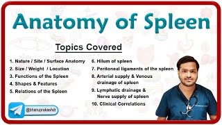 Anatomy of the Spleen  Relations Ligaments Neurovascular supply Venous and lymphatic drainage [upl. by Ecnarret262]