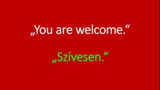 You are welcome  in Hungarian [upl. by Yztim]