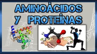 Biomoléculas Aminoácidos y proteínas [upl. by Shane770]