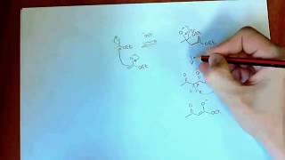 Chemistry 3 Acylation of Enolates Claisen Condensation [upl. by Yarehs]