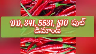 Guntur mirchi market rate today  17092024 [upl. by Hsivat]