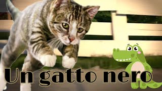 Volevo gatto nero in russo Imparare russo Canzoni per bambini 2019 [upl. by Aitselec684]