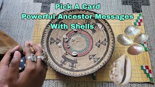 Pick A Card POWERFUL Ancestor Messages With Shells 🐚 ✨️ [upl. by Wolcott]