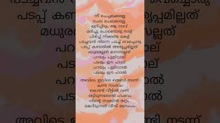 Nee chechelakkallesafa musthafasonglyrics songlyrics [upl. by Yauq]