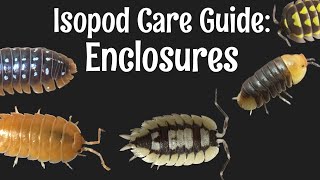 Isopod Care Guide Part 1 Enclosures [upl. by Ekihc]