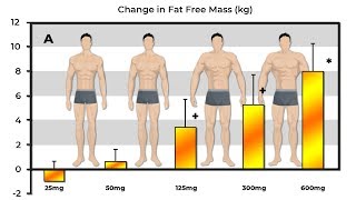 Exactly How Much Muscle Does 25mg 50mg 125mg 300mg amp 600mg Of Testosterone Build [upl. by Hertzog]