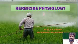 Herbicide Physiology [upl. by Airretal]