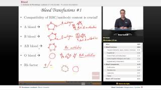 quotBloodquot  Anatomy amp Physiology with Educatorcom [upl. by Anselme49]