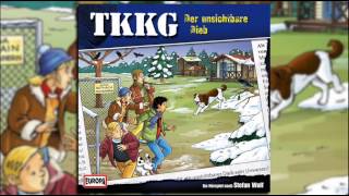 TKKG  Folge 185 Der unsichtbare Dieb [upl. by Manas]