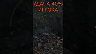 ТОЧНОСТЬ 40 миртанков shorts fireray [upl. by Hollah]