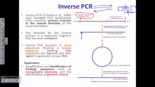 Inverse PCR [upl. by Aniz649]