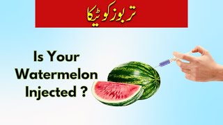 How to check if Watermelon is injected with color watermelon watermelonjuice snfmentor [upl. by Tonya]