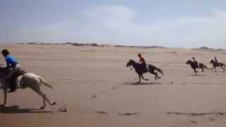 PFERD amp REITER Berber Atlantik Trail [upl. by Tecu]