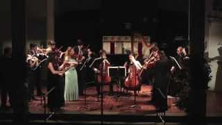 Ned Rorem String Symphony mvtI quotWaltzquot [upl. by Madalena]