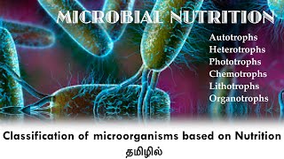 Chemotrophs vs Phototrophs EVERYTHING YOU NEED TO KNOW Biology Metabolism MCAT [upl. by Llerrah]