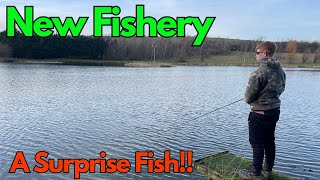 Fly Fishing at Springwater Fishery and a Surprise Fish [upl. by Corrie]