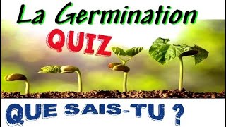 La GERMINATION des Graines  QUIZ  Graine de Haricot  Croissance des végétaux [upl. by Aicnerolf921]