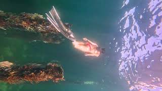 busselton jetty freediving western australia [upl. by Adall394]