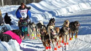 What is the Iditarod  AK Explained [upl. by Trefler315]